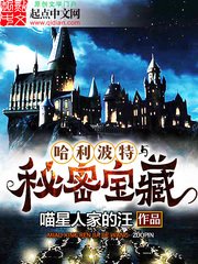 ((HP同人)哈利波特与秘密宝藏